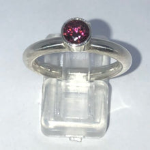 Afbeelding in Gallery-weergave laden, Fiori Colori Tulipano